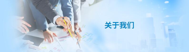 公司简介_{$city}浙江新诚信工程咨询
